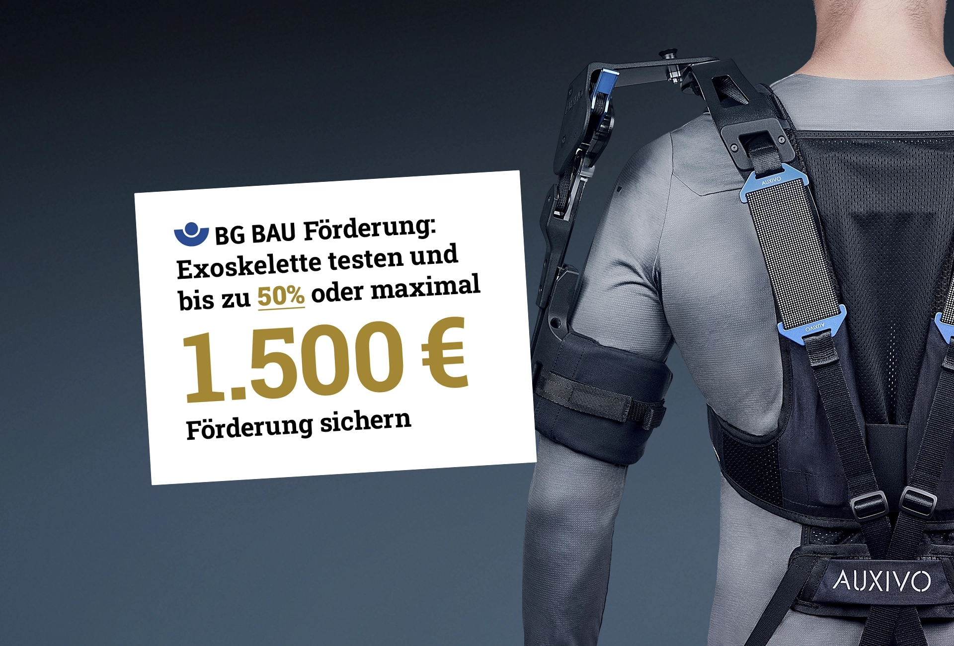 Holz_Header_BG-Förderung_Exo